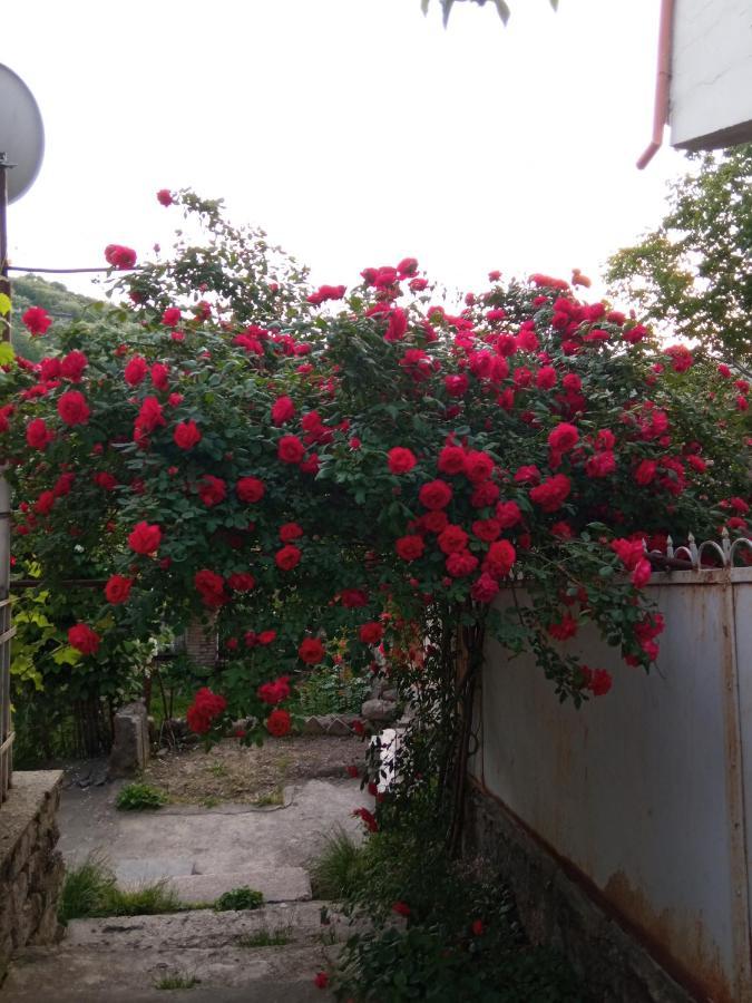 Hotel Kizikis Kari à Sighnaghi Extérieur photo