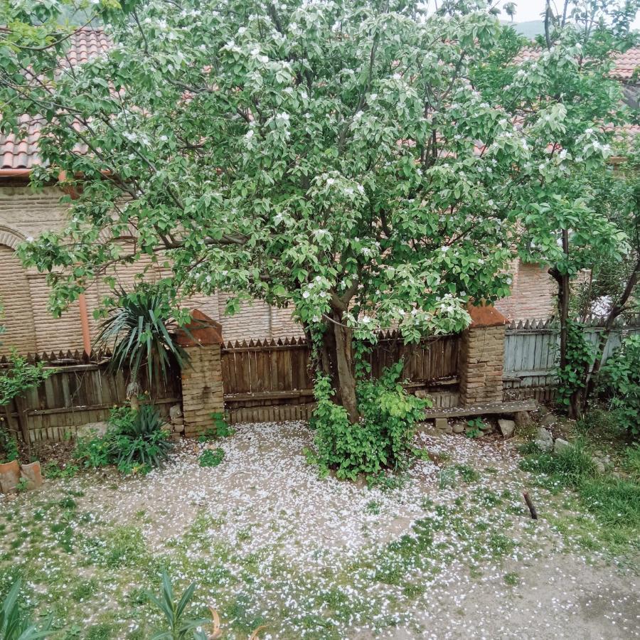 Hotel Kizikis Kari à Sighnaghi Extérieur photo