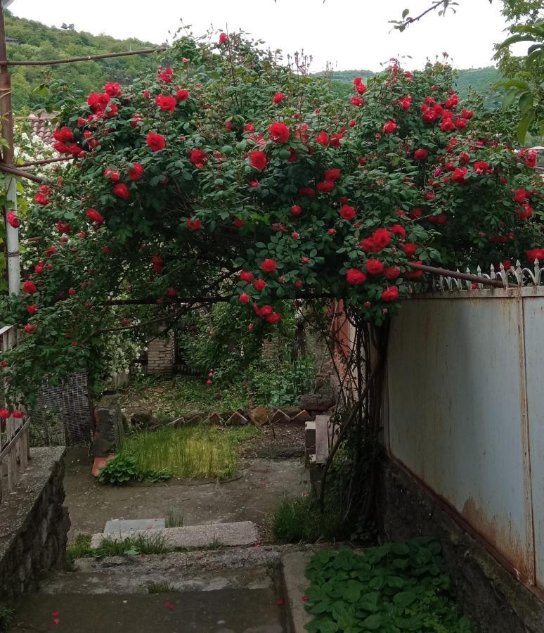 Hotel Kizikis Kari à Sighnaghi Extérieur photo